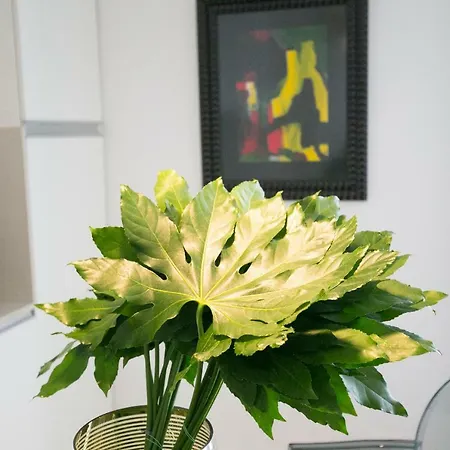 Lejlighed Downtown Free Parking Lisboa