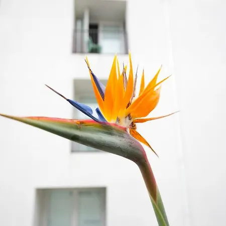 Downtown Free Parking Lisbon